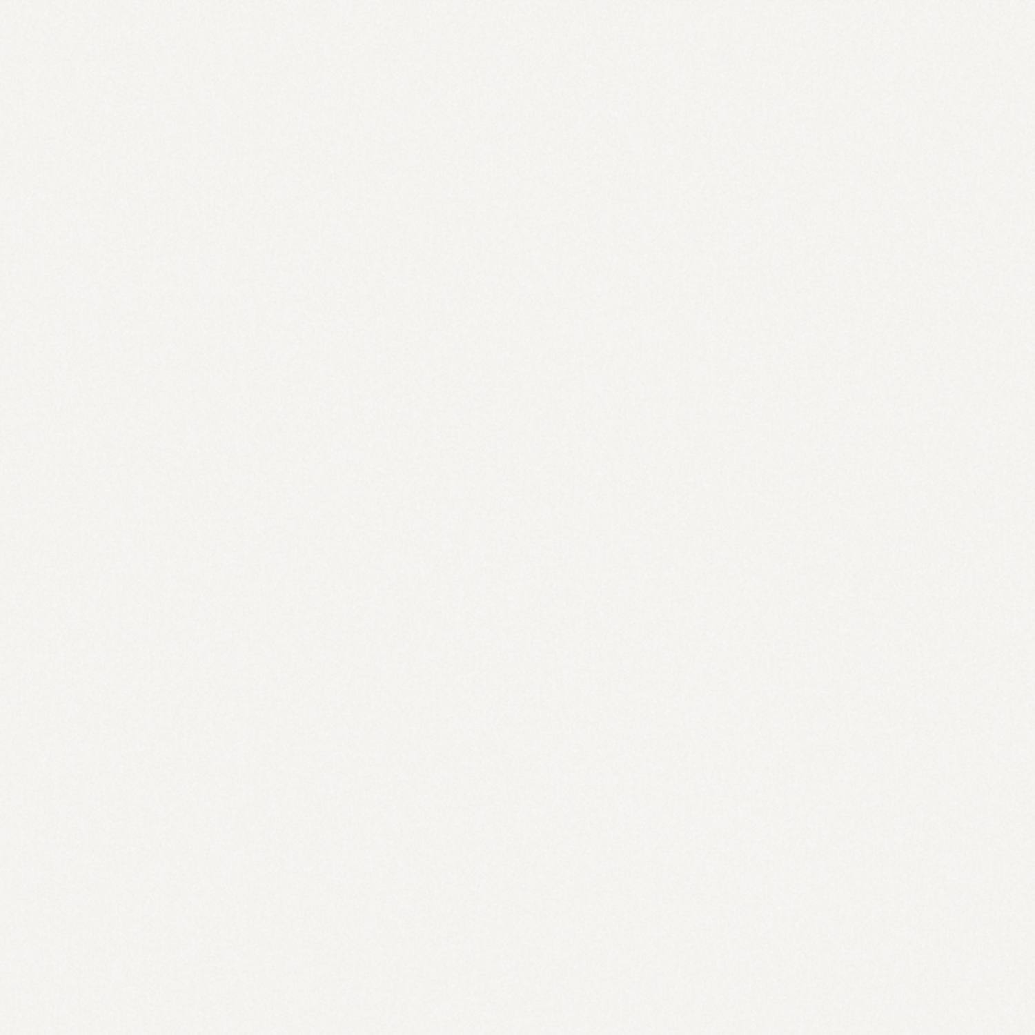 Обои флиз "WallSecret Comfort" 8779-13 10*1,06м *6