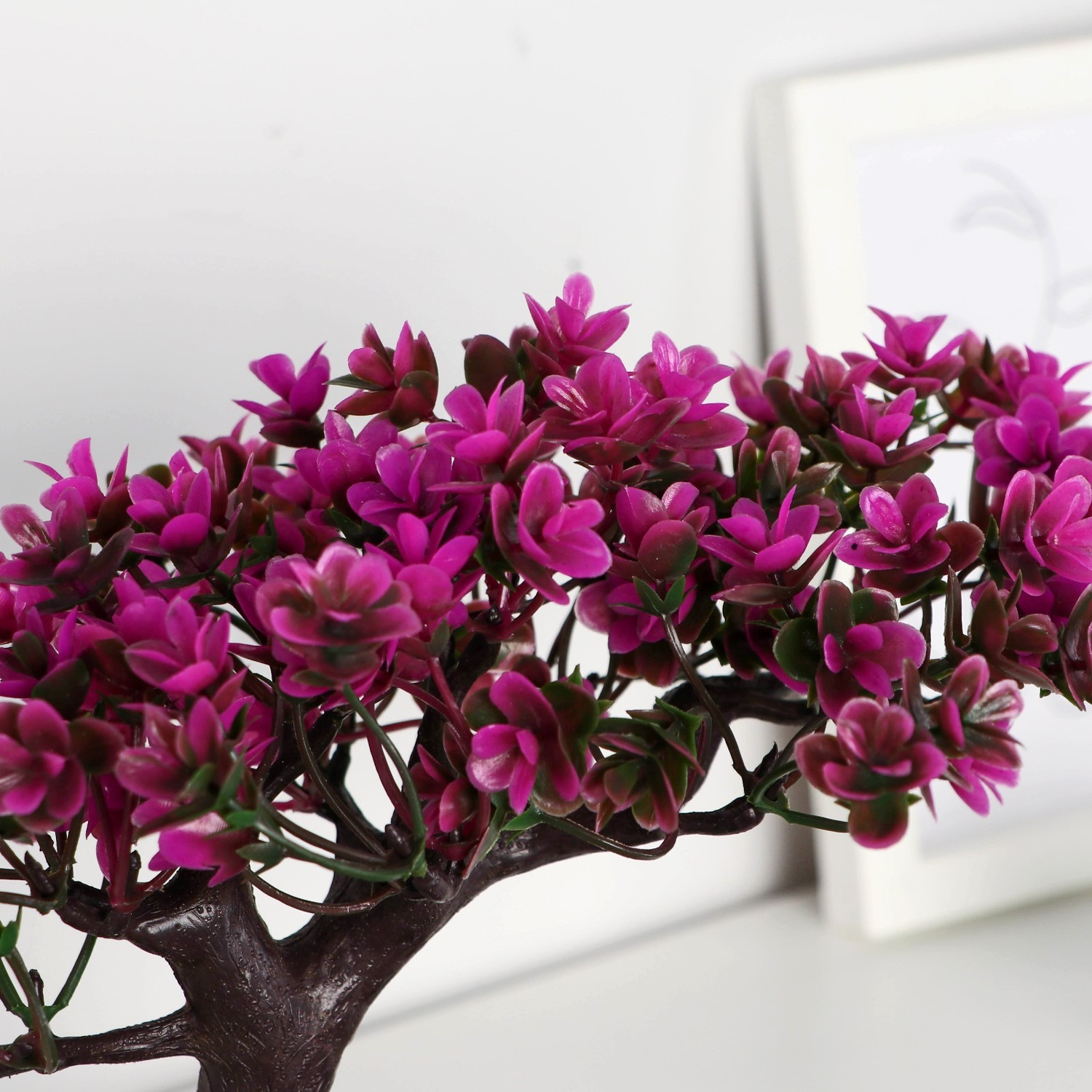 Бонсай в горшке «Молочай многоцветный» 12х16 см, микс 9789708