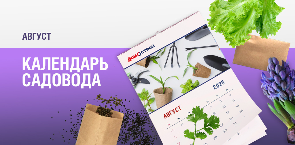 Новость внутри _1500х738 (6).jpg Новость внутри _1500х738 (6).jpg