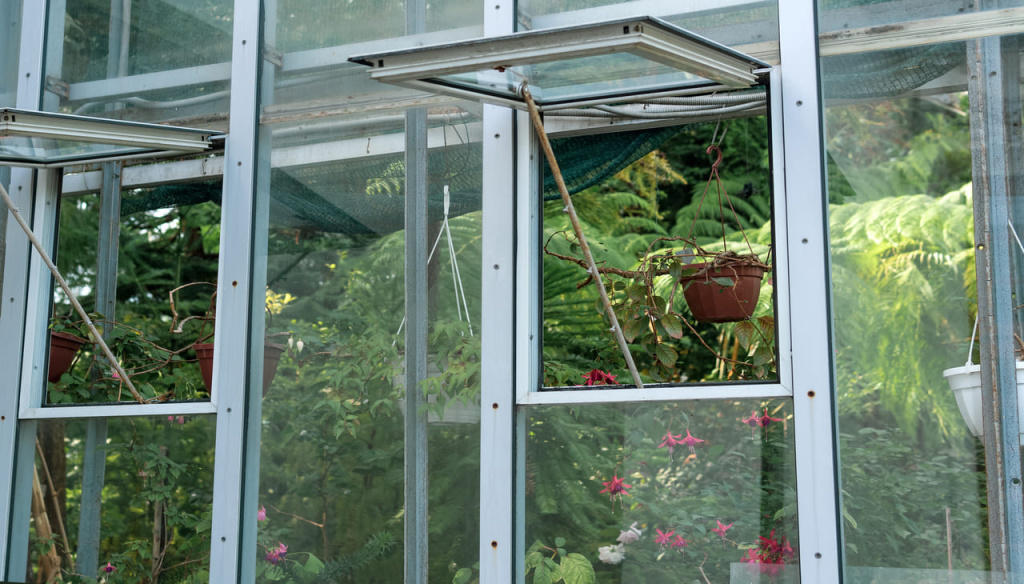 razdel-steklannoi-steny-tropiceskogo-cvetocnogo-teplica-s-otkrytym-oknom-naruzu (5).jpg
