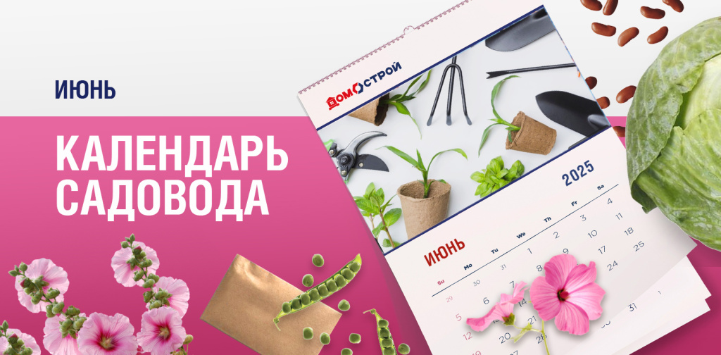 Новость внутри _1500х738.jpg