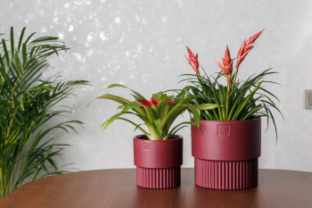 Кашпо пластм. "Бостон" 1,6л d верха 137мм h132мм со вставкой Бордо АМБ-1,6-19 ("VipSet") *1/10