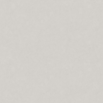 Обои  флиз Victoria Stenova Stenova Magnolia фон (сер.) 585116 1.06*10м *6